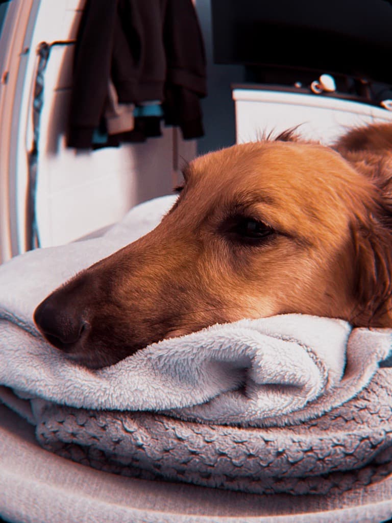 DEEP HEAT PROJECTOR 80W