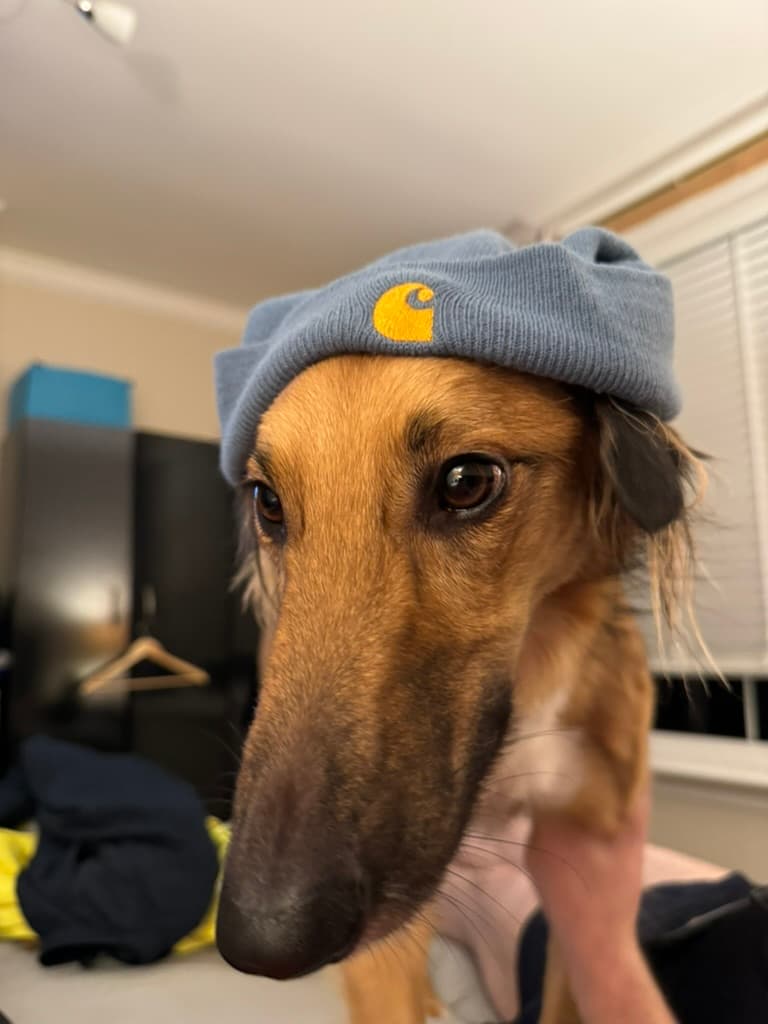 ARCADIA BASKING FLOOD 75W